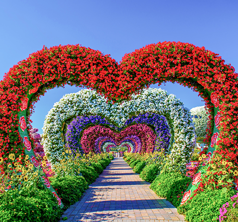 Dubai Miracle Garden, , medium